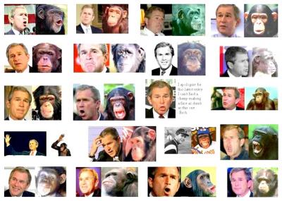 20070310190703-bush-monkey2.jpg